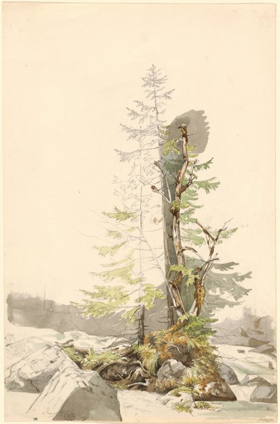  door Carl Morgenstern