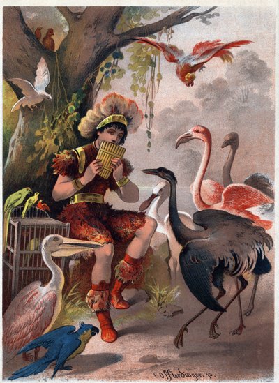 Papageno met een panfluit brengt de vogels uit het bos. Illustratie door Carl Offterdinger (1829-1889) in 