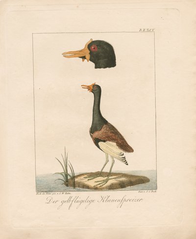  door Carl Wilhelm Hahn