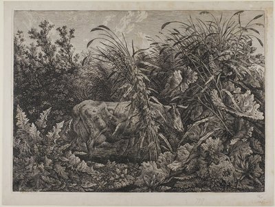 Koe in een stroom door Carl Wilhelm Kolbe the elder