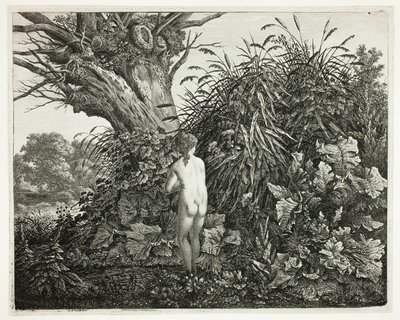 Nimf in een moerassig bos door Carl Wilhelm Kolbe, the elder