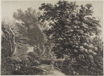 Rustieke brug in een verward bos door Carl Wilhelm Kolbe, the elder