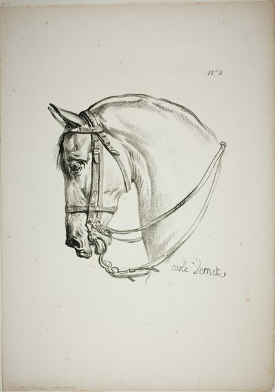 Detail van paardenhoofd, vergroot tot drievoudige grootte, Normandische Koninklijke Garde, nr. 2 door Carle Vernet