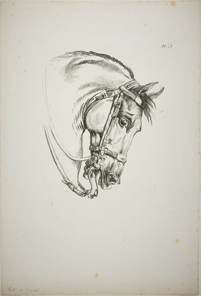 Detail van paardenhoofd, vergroot tot drievoudige grootte, Normandische Koninklijke Garde, nr. 5, Eerste Limoges Paard door Carle Vernet