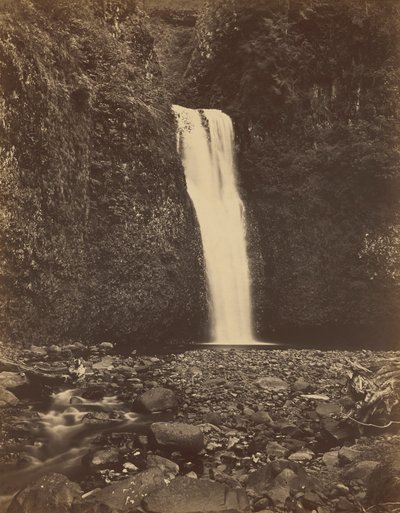 De watervallen van Lower Multnomah, Columbia River,1867 (foto) door Carleton Emmons Watkins