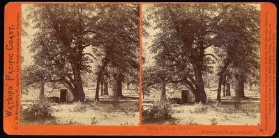 Hut in Camp Grove, Yosemite Valley, Mariposa County, Cal door Carleton Watkins