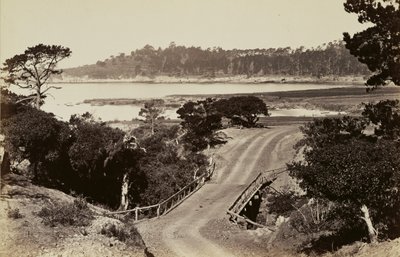 [Kustgezicht bij Monterey] door Carleton Watkins