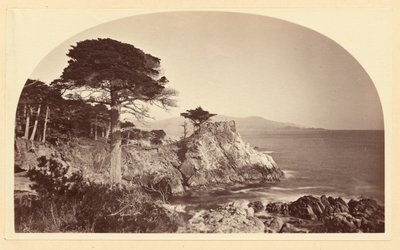  door Carleton Watkins