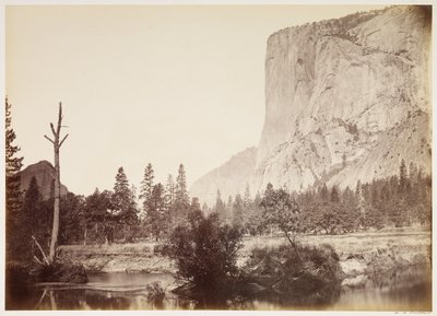  door Carleton Watkins