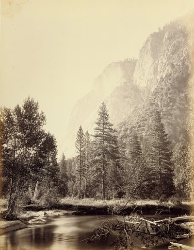  door Carleton Watkins