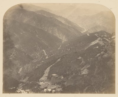 [Josephine en Pijnboom]. door Carleton Watkins
