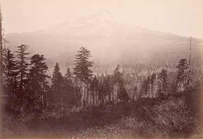  door Carleton Watkins