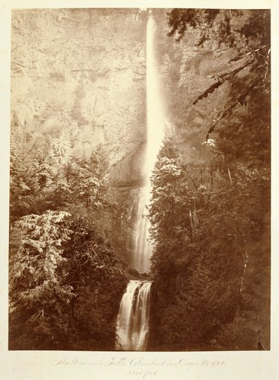  door Carleton Watkins