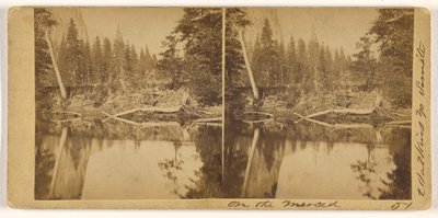 Aan de Merced (nr. 51) door Carleton Watkins