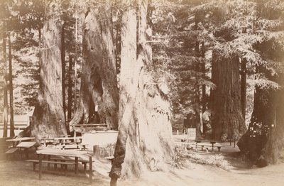  door Carleton Watkins
