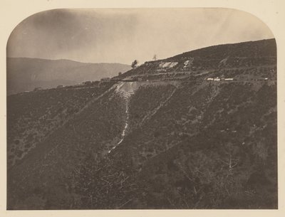 Pijnboommijn door Carleton Watkins