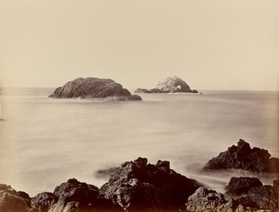 [Seal Rocks gezien vanaf de punt] door Carleton Watkins