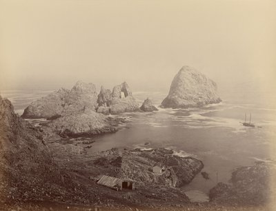  door Carleton Watkins