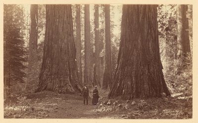  door Carleton Watkins