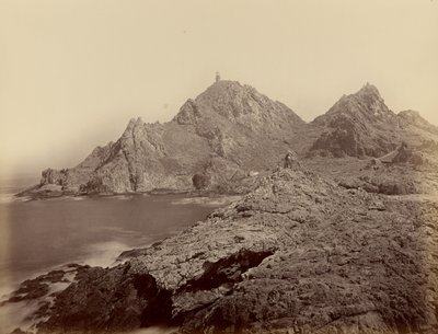 [Uitzicht vanaf de Sugar Loaf-eilanden, Farallons] door Carleton Watkins