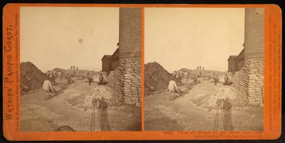 Uitzicht op de Kade van de Selby Lood- en Zilver Smelterij, San Francisco, Cal door Carleton Watkins