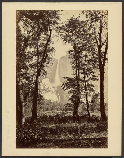  door Carleton Watkins