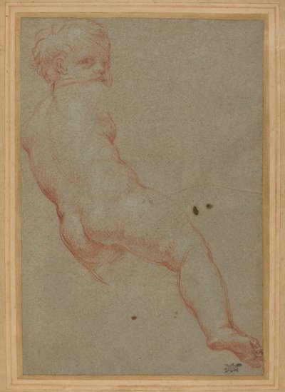 Studie van een Jonge Jongen door Carlo Maratta