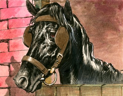 Zwarte Schoonheid door Carlos Gabriel Roume