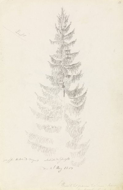 Spar door Caspar David Friedrich