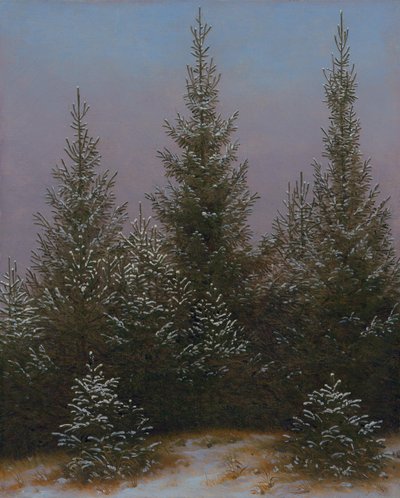 Sparrenbos in de sneeuw (Uit de Dresdner Heide I) door Caspar David Friedrich