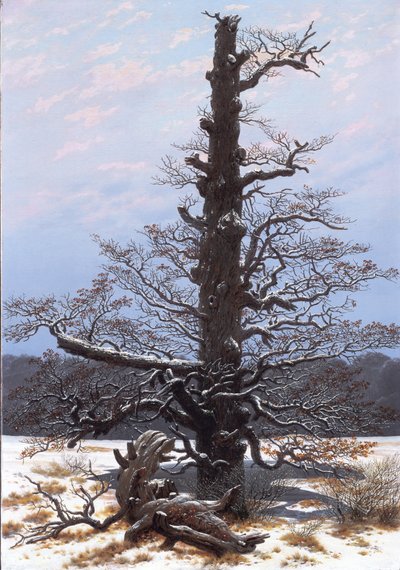 Duits: Eichbaum im Schnee De eikenboom in de sneeuw door Caspar David Friedrich