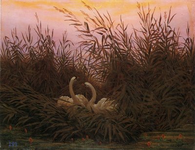 Duits: Schwäne im Schilf beim ersten Morgenrot Zwanen in het riet bij de eerste dageraad door Caspar David Friedrich