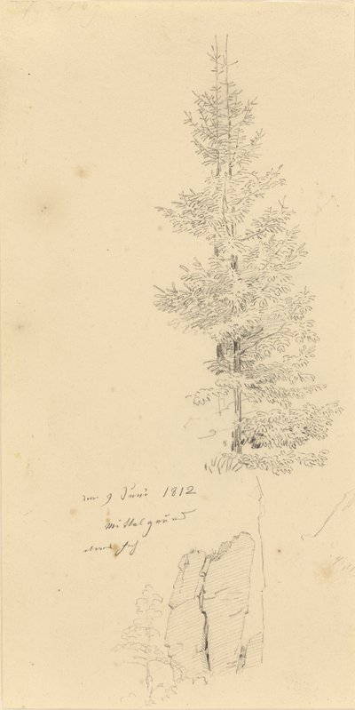 Duits: Studie mit Fichten und Felsen Studie van sparren en een rots door Caspar David Friedrich