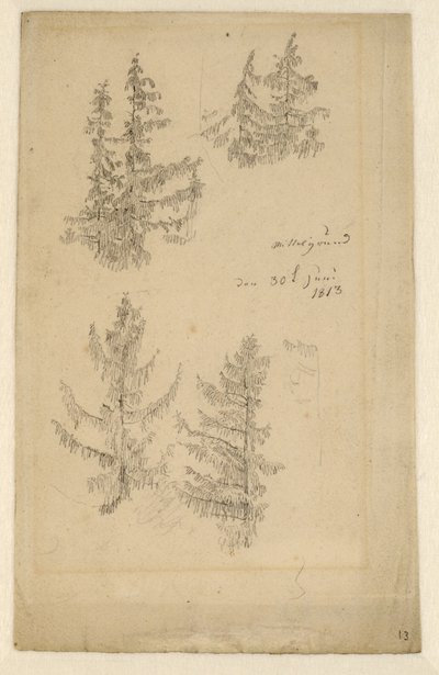 Duits: Tannenstudien Studies van dennenbomen door Caspar David Friedrich