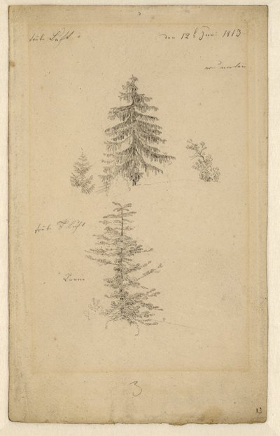 German: Zwei Tannenstudien Two studies of fir trees door Caspar David Friedrich