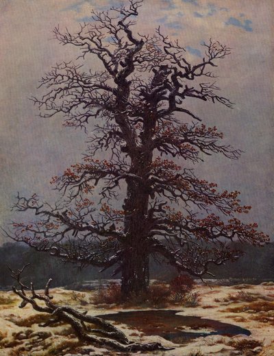 Eik in de sneeuw door Caspar David Friedrich