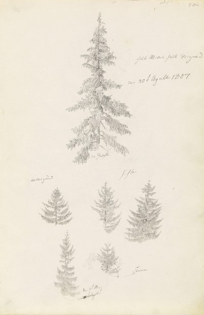 Zes studies van sparren en dennen door Caspar David Friedrich