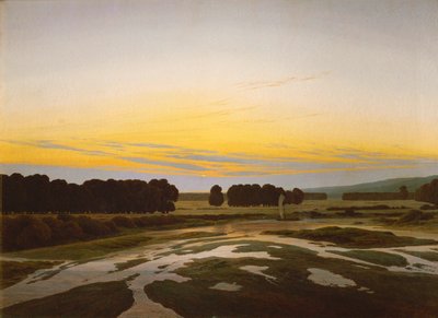 Het grote reservaat bij Dresden door Caspar David Friedrich