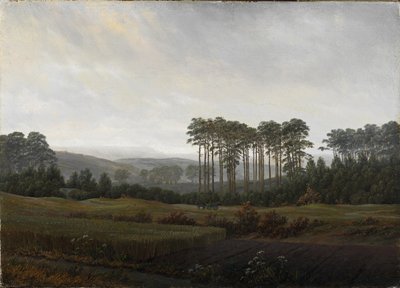 De tijden van de dag: De middag, 1821-1822 door Caspar David Friedrich