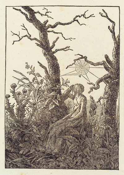 De vrouw met het spinnenweb door Caspar David Friedrich
