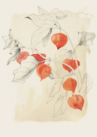  door Catalina Somolinos