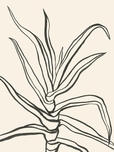 Minimalistisch plantenontwerp door Catalina Somolinos