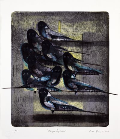 Ritme van de ekster, 2016 (mokulitolitho met inkleuring met de hand) door Cathie Pilkington