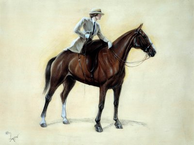 Een elegante ruiter stijgt op een amazone door Cecil Charles Windsor Aldin