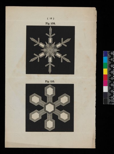 Sneeuwkristallen door Cecilia Glaisher
