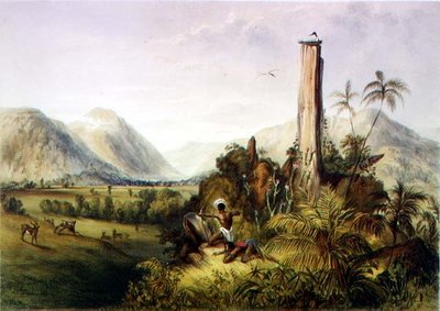 Pure-Piapa, een opmerkelijke basaltsteen in Guiana, uit 