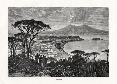 Napels, Italië, 1879 door Charles Barbant