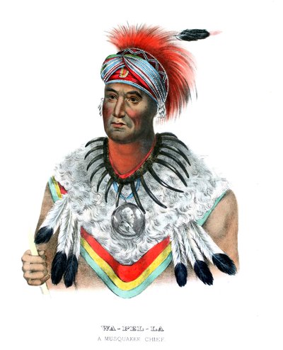 Wapella door Charles Bird (after) King