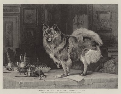 Marco op het ontbijttafel van HM de Koningin door Charles Burton