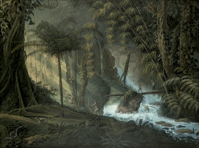 Braziliaans Bos door Charles Comte de Clarac